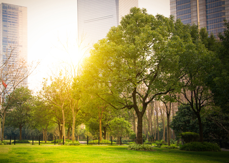 Sistema NIRON, una apuesta segura en edificios sostenibles